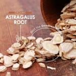 Organic Astragalus 2100mg Vegan Capsules - 90 Count