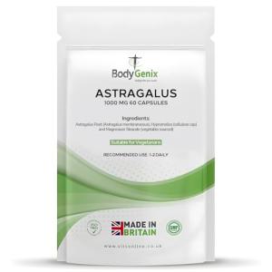 Bodygenix Astragalus Capsules - Immune & Heart Support