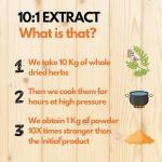 Astragalus Powder - High Potency Herbal Supplement