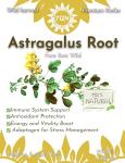 Pure Astragalus Root 100g - Boost Immunity & Energy
