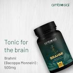 Bacopa Monnieri Capsules - 500mg Brain Support