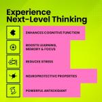 Bacopa Monnieri 500mg | Vegan Cognitive Booster