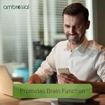 Bacopa Monnieri Capsules - 500mg Brain Support