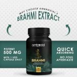 Bacopa Monnieri Capsules - 500mg Brain Support