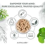 High-Strength Ginkgo Biloba with Bacopa & Ginseng