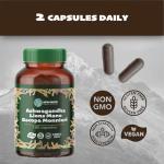 Ashwagandha, Lion's Mane & Bacopa Capsules for Clarity
