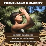 Ashwagandha, Lion's Mane & Bacopa Capsules for Clarity