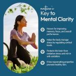 Organic Brahmi Capsules for Stress and Memory Support