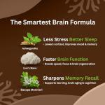 Ashwagandha, Lion's Mane & Bacopa Capsules for Clarity