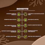 Ashwagandha, Lion's Mane & Bacopa Capsules for Clarity