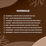 Ashwagandha, Lion's Mane & Bacopa Capsules for Clarity