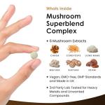 Mushroom Complex: Lions Mane & Cordyceps Blend