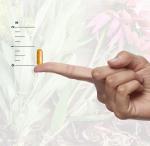 Natural's Answer BlkCo. HoshExtract 50mg 90 Caps