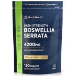 Boswellia Serrata Extract 4200mg - 120 Vegan Tablets