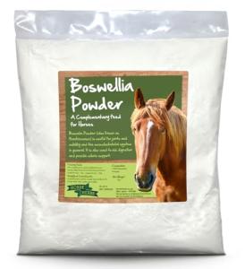 Boswellia Serrata Powder for Horse Pain Relief