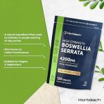 Boswellia Serrata Extract 4200mg - 120 Vegan Tablets