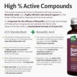 Boswellia Serrata 2000mg Vegan Capsules for Joints