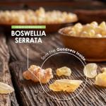 Boswellia Serrata Extract 3000mg - 90 Capsules