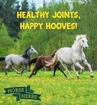 Boswellia Serrata Powder for Horse Pain Relief