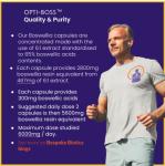 Boswellia Serrata 5600mg Vegan Capsules for Joint Health