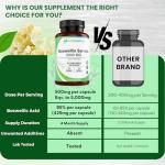 Boswellia Serrata 5000mg Capsules for Joint Support