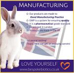 Boswellia Serrata 5600mg Vegan Capsules for Joint Health