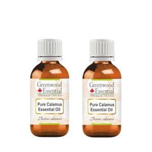 Greenwood Essential Calamus Oil - Two 15ml Bottles