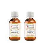 Greenwood Essential Calamus Oil - Two 15ml Bottles