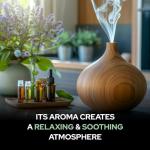 Pure Calamus Essential Oil - 100 ML Dropper