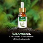 Pure Calamus Essential Oil - 100 ML Dropper