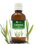100% Pure Calamus Essential Oil - 100 ML