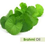 100% Pure Calamus Essential Oil - 100 ML