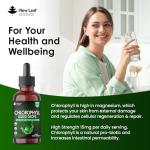 Liquid Chlorophyll Drops - High Strength 100ml