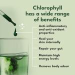 High Strength Liquid Chlorophyll Drops - 6000mg