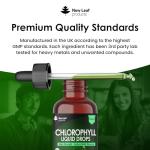 Liquid Chlorophyll Drops - High Strength 100ml