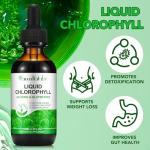 Chlorophyll Drops for Detox and Energy Boost