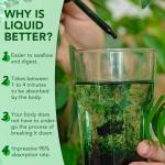 Chlorophyll Drops for Detox and Energy Boost