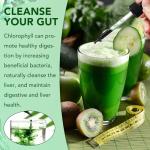 Chlorophyll Drops for Detox and Energy Boost