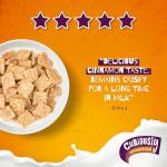 Curiously Cinnamon Cereal by Nestle, 375g