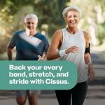 H&C Cissus Caplets 750 mg for Bone Health