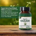 Organic Hadjod Cissus Tablets - 120 Count