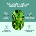 H&C Cissus Caplets 750 mg for Bone Health