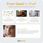 Organic Turmeric Capsules with Black Pepper & Ginger