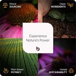 Organic Turmeric Capsules with Black Pepper & Ginger