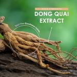 Dong Quai Extract 5000mg – 180 Vegan Tablets