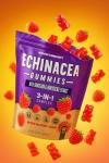 Echinacea Gummies with Dandelion & Honeysuckle - Vegan