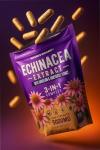 High Strength Echinacea Capsules with Dandelion & Honeysuckle