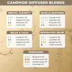 Organic Camphor Oil for Skin, Pain Relief, Aromatherapy