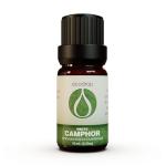 Pure White Camphor Essential Oil for Aromatherapy