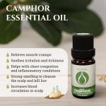 Pure White Camphor Essential Oil for Aromatherapy